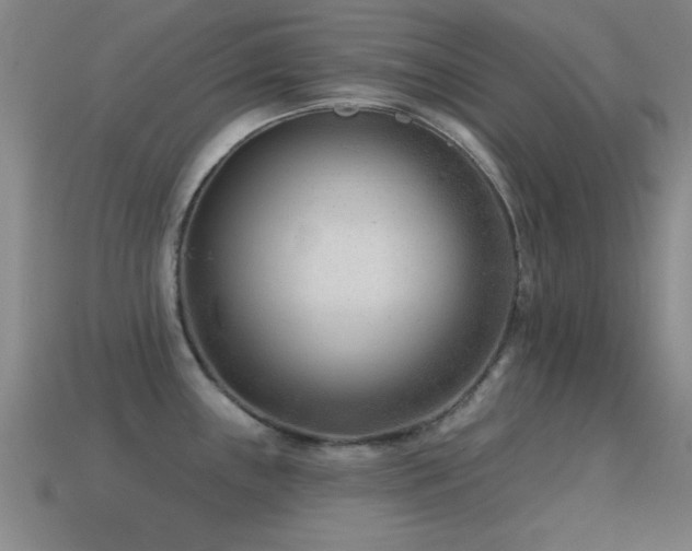 X0000114691243200910211306