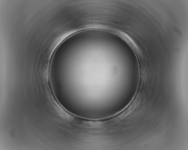 X0000114691244200910211306