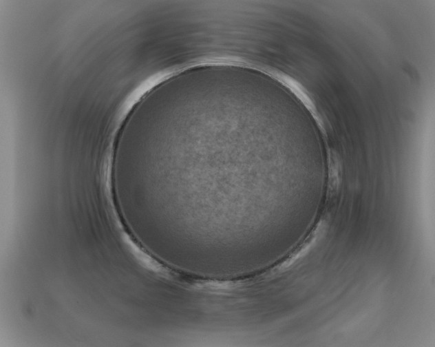 X0000114691245200910211306