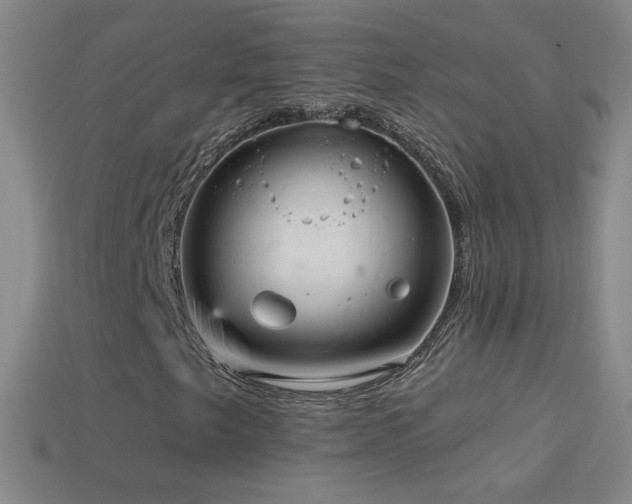 X0000114691249200910211305