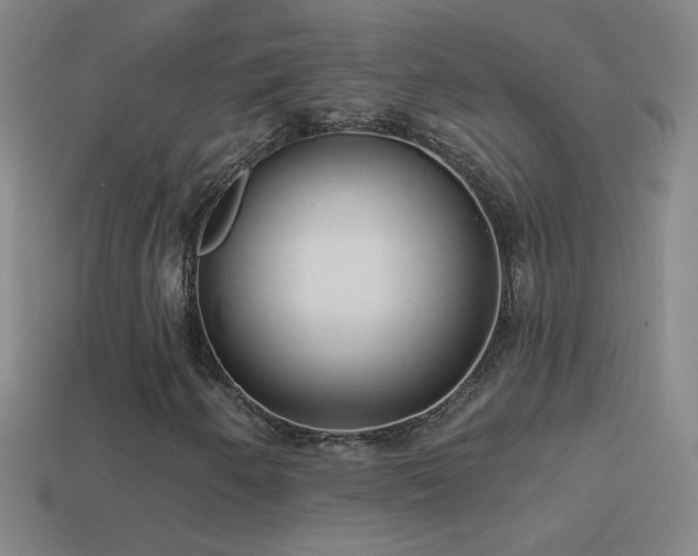 X0000114691250200910211305