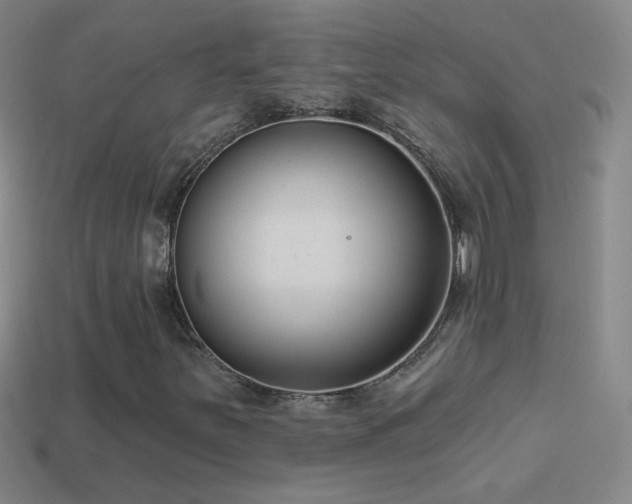 X0000114691251200910211305