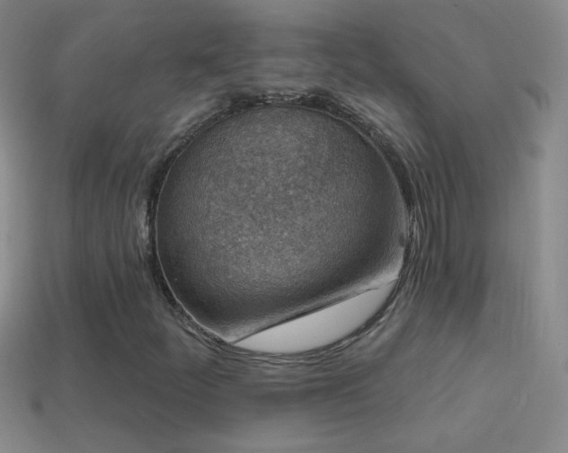 X0000114691252200910211305