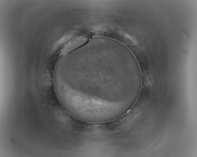 X0000114691253200910211305