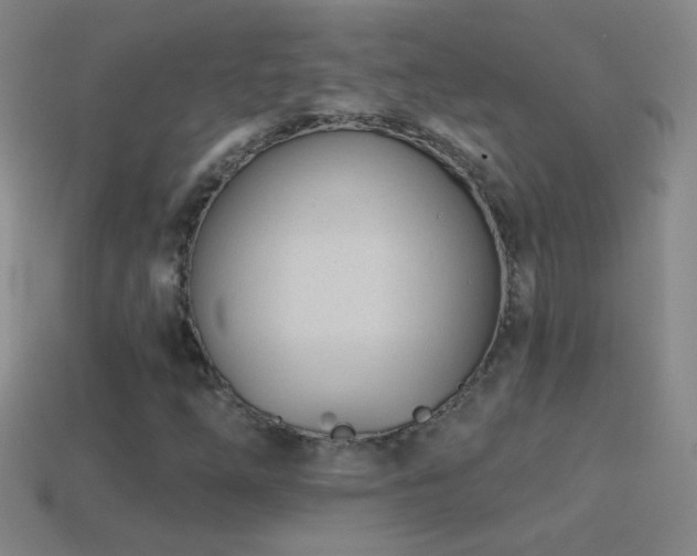 X0000114691254200910211305