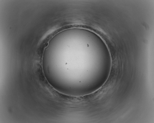 X0000114691255200910211305