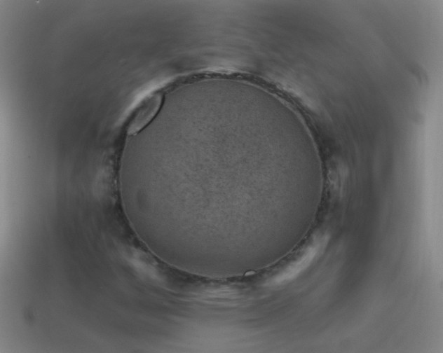 X0000114691256200910211305