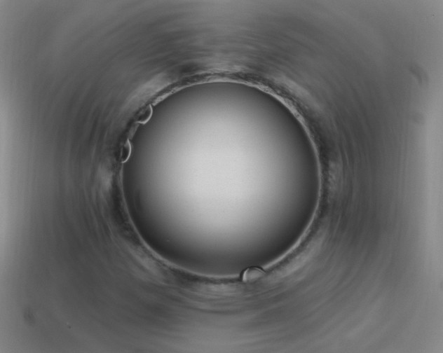 X0000114691257200910211305