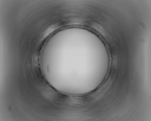 X0000114691258200910211305