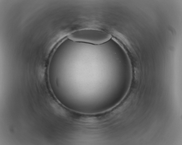 X0000114691260200910211305