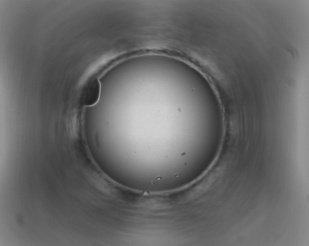 X0000114691262200910211305