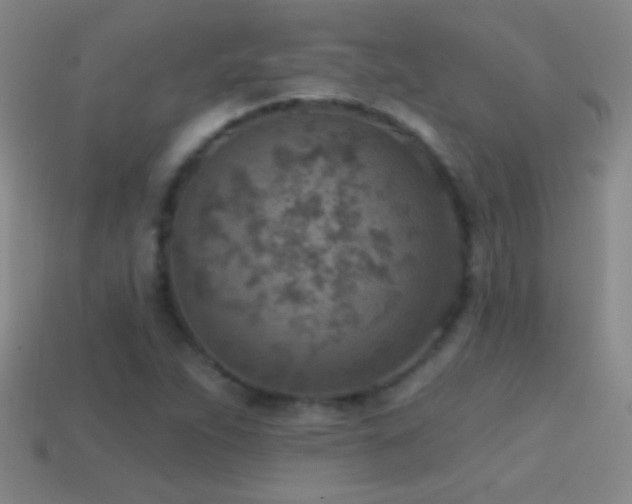 X0000114691263200910211305