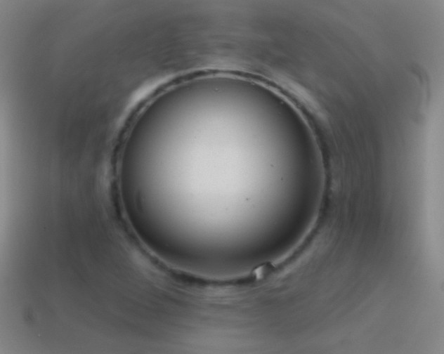 X0000114691264200910211305