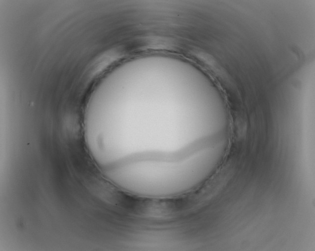 X0000114691266200910211305