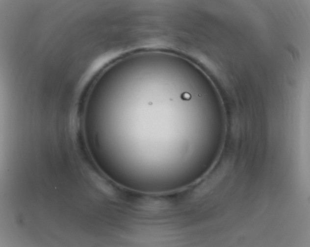 X0000114691270200910211305