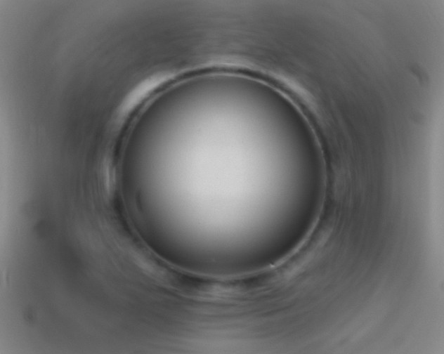 X0000114691271200910211305