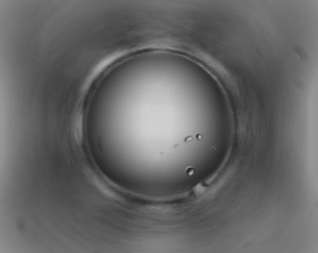X0000114691272200910211305
