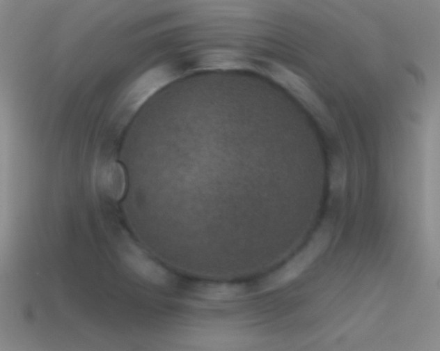 X0000114691273200910211305