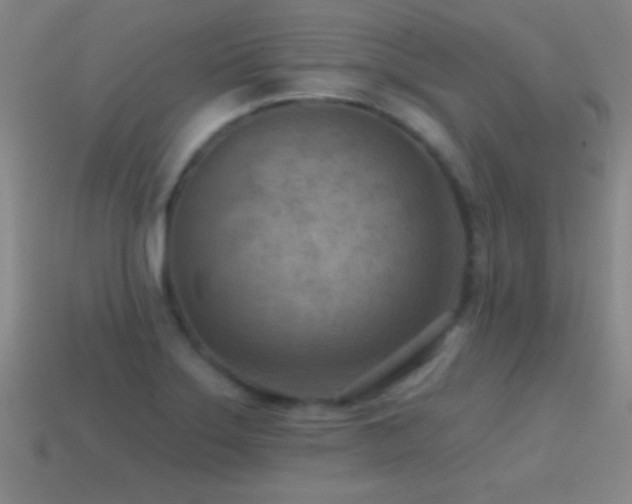 X0000114691275200910211305