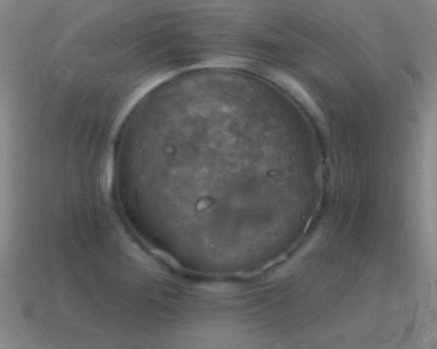 X0000114691276200910211305