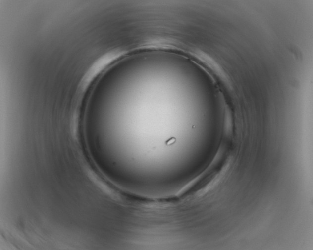 X0000114691277200910211305