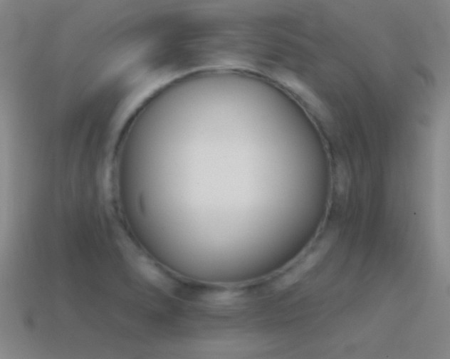 X0000114691278200910211305