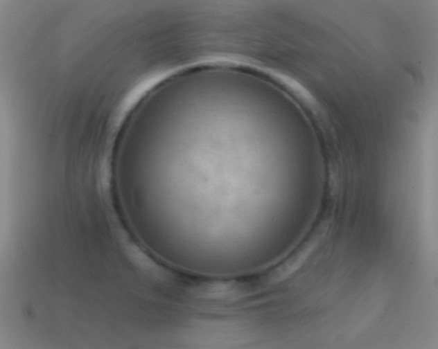 X0000114691279200910211305