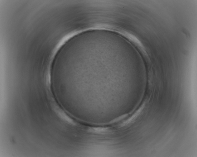 X0000114691280200910211305