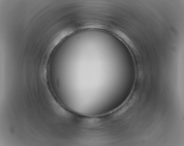 X0000114691282200910211305