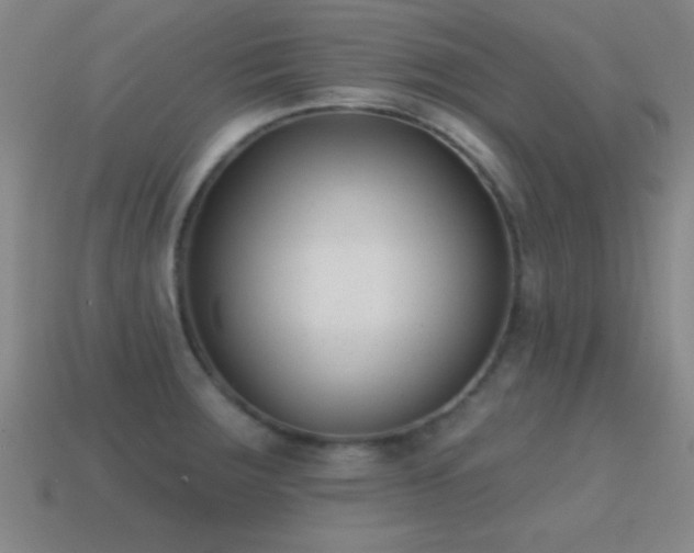 X0000114691283200910211305