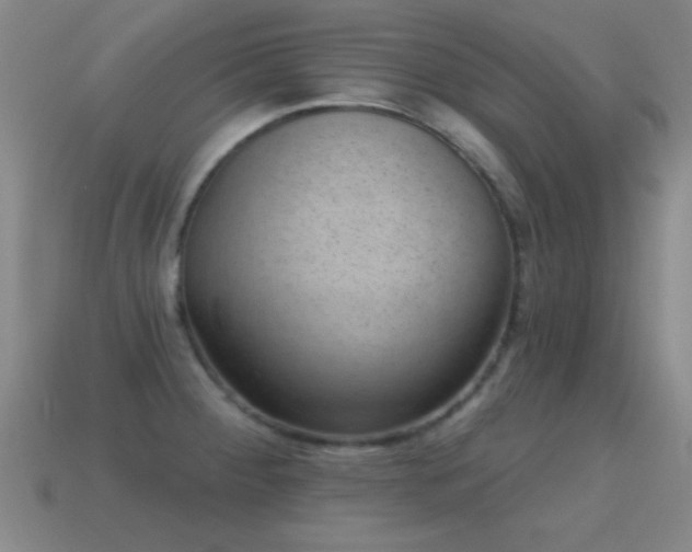 X0000114691284200910211305