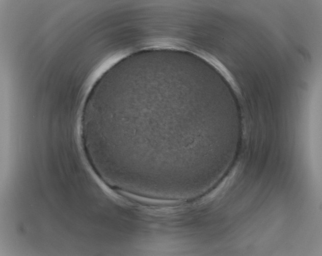 X0000114691285200910211305