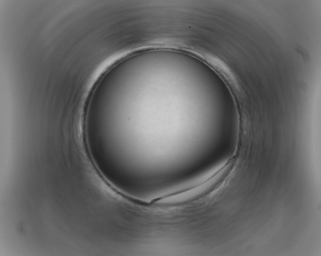 X0000114691288200910211305