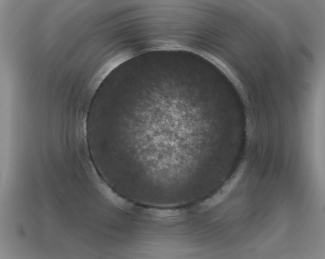 X0000114691289200910211305