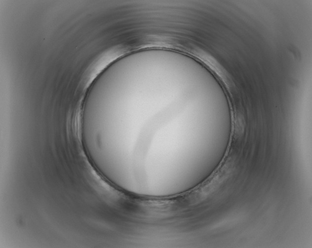 X0000114691290200910211305