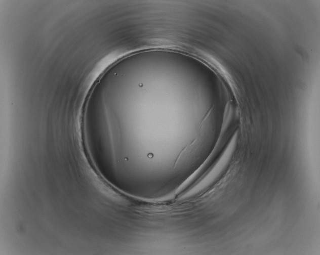 X0000114691291200910211305