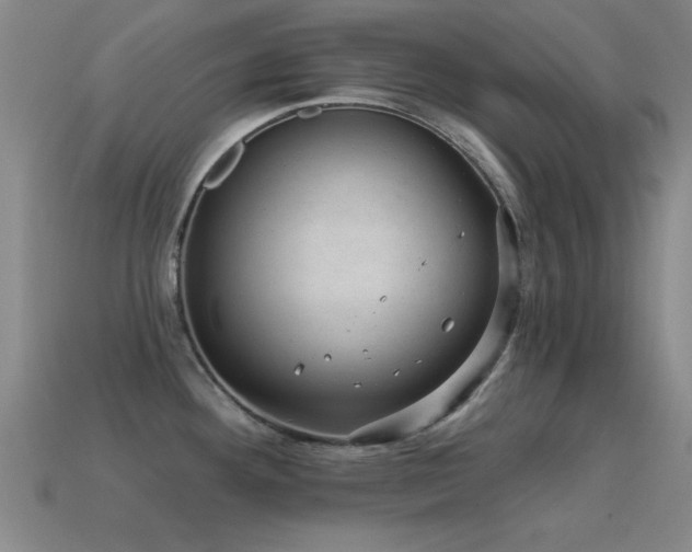 X0000114691292200910211305