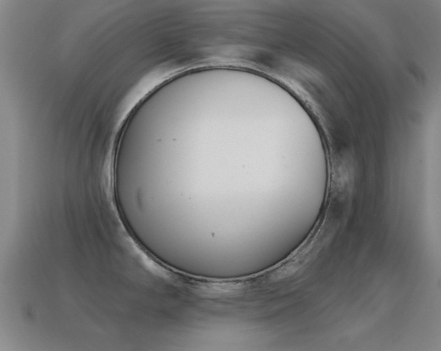 X0000114691294200910211305