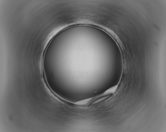 X0000114691295200910211305