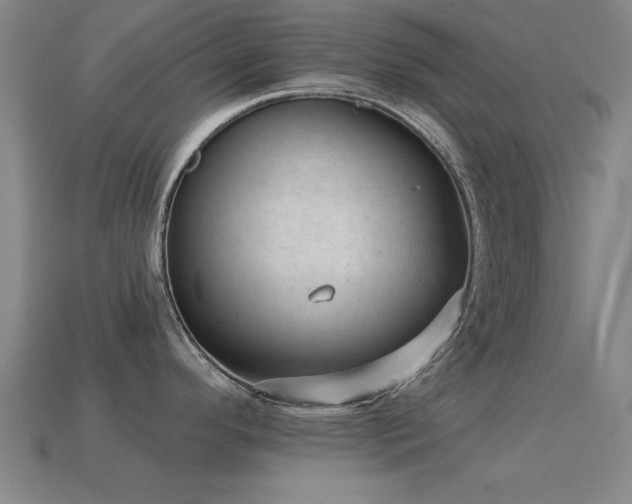 X0000114691296200910211305