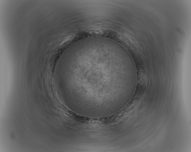 X0000114691297200910211304