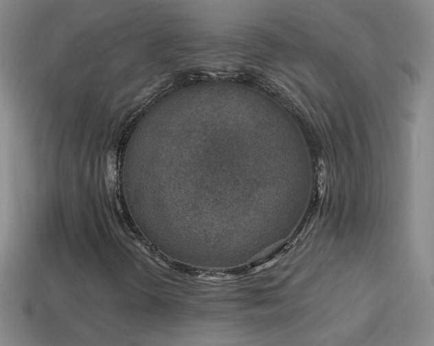 X0000114691298200910211304