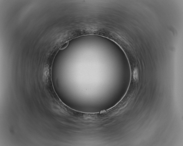 X0000114691299200910211304