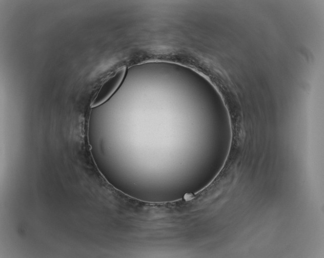 X0000114691301200910211304