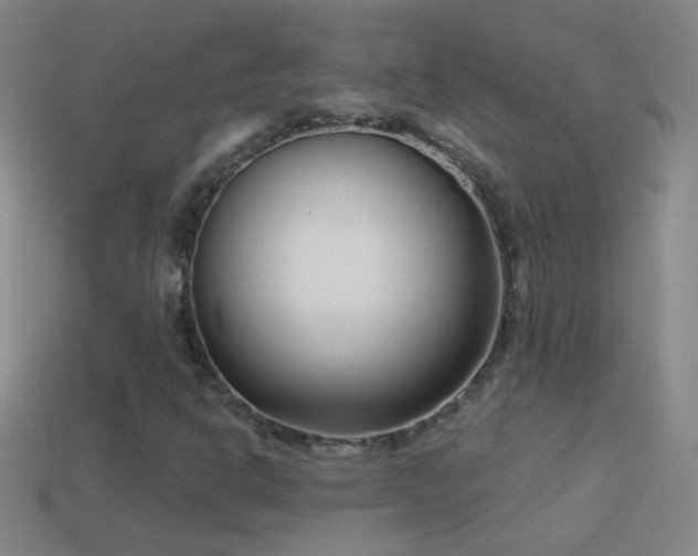 X0000114691302200910211304