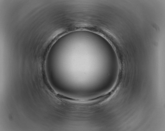 X0000114691305200910211304
