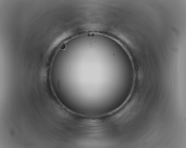 X0000114691309200910211304