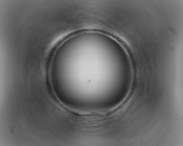 X0000114691311200910211304