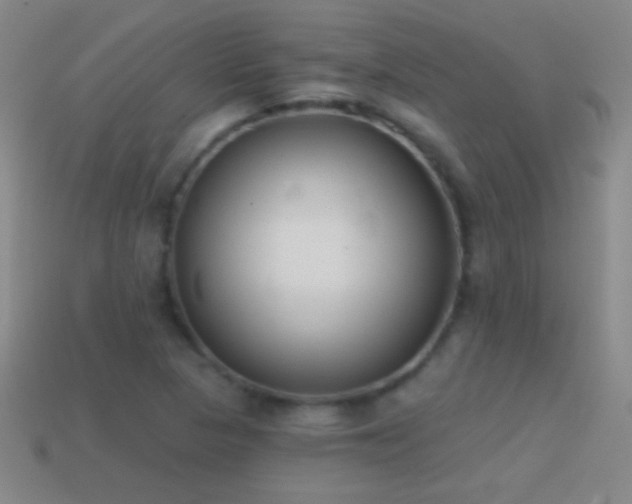 X0000114691313200910211304
