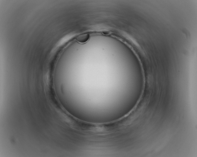 X0000114691315200910211304